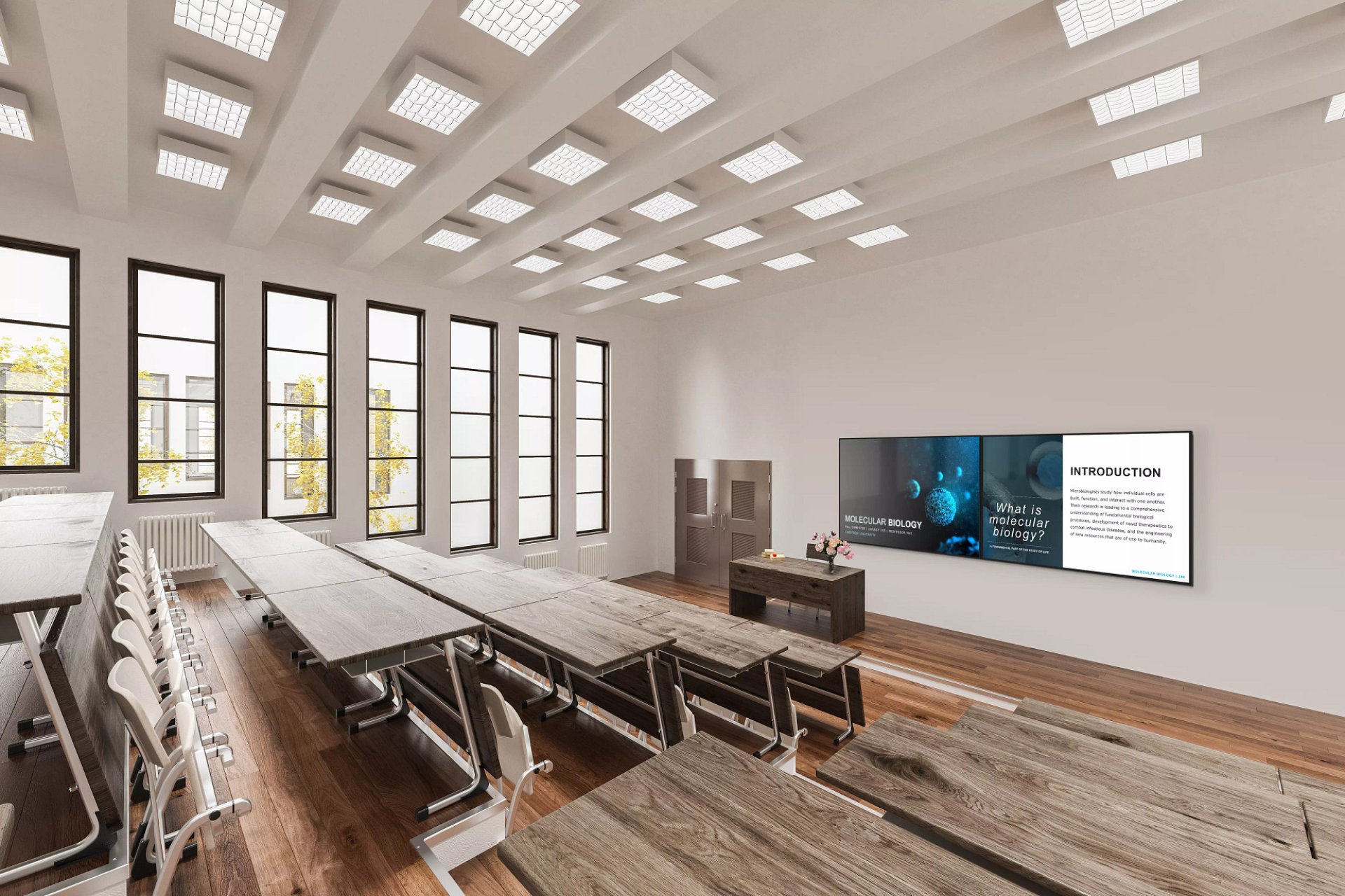 Bildungs- & Informationssysteme